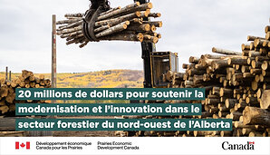 L'investissement fédéral aide à défendre le secteur forestier de l'Alberta contre les droits de douane imposés par les États-Unis