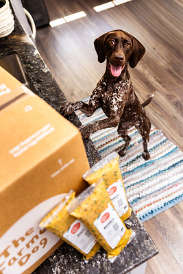 The Farmer's Dog Partners with Jess Pegula