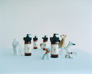 Introducing Jo Malone London × WildWash Dog Shampoo