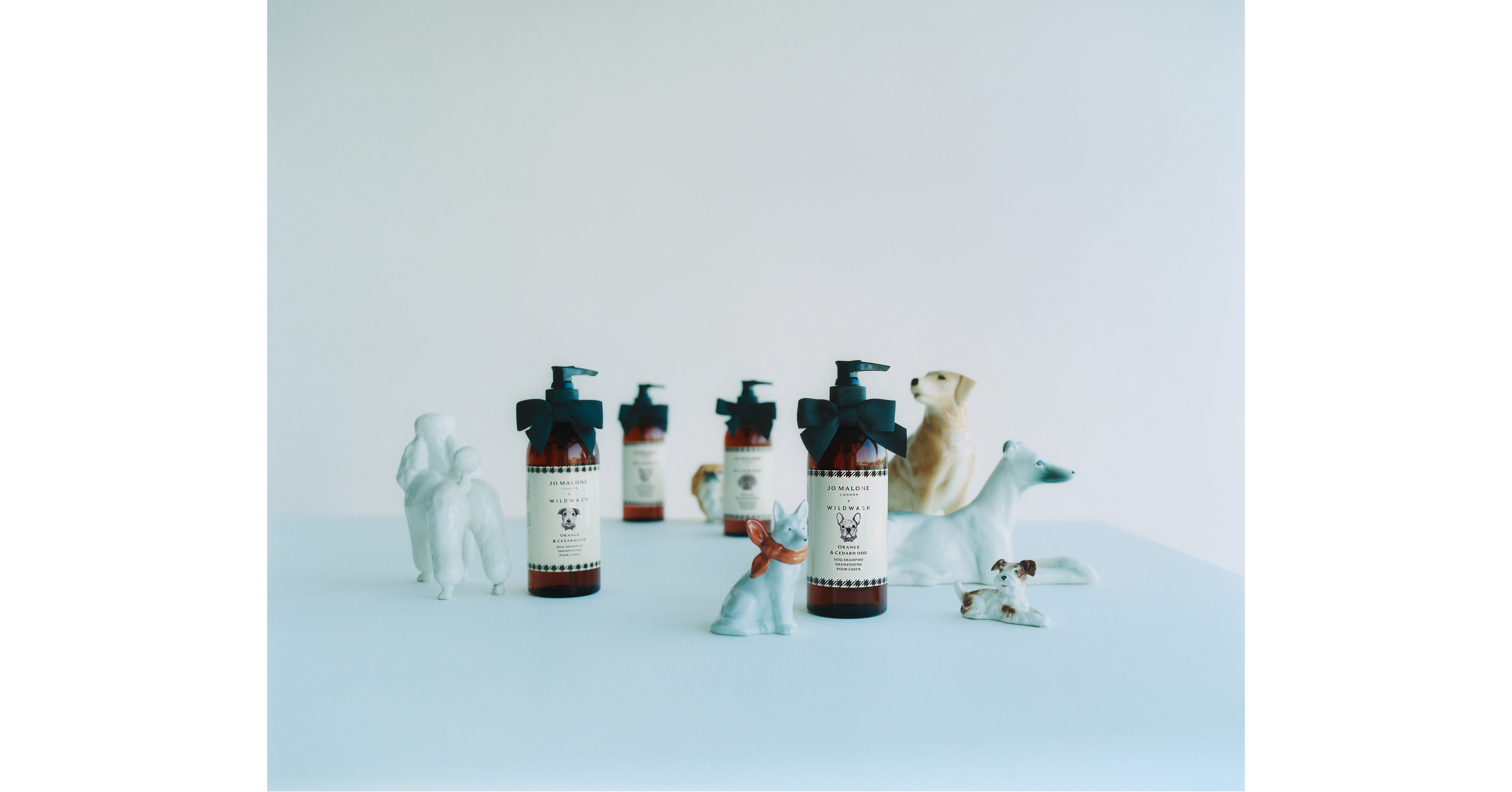 Wir stellen vor: Jo Malone London &times; WildWash Hundeshampoo