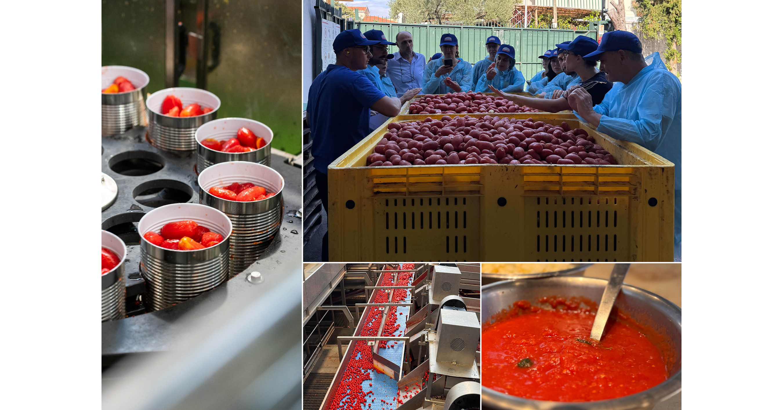 Red Gold from Europe promotes the Culinary Heritage of Italian and EU Preserved Tomatoes in the USA
