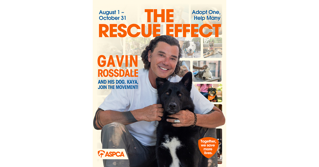 Gavin Rossdale Joins the ASPCA's Rescue Effect Campaign to Promote Pet Adoption Nationwide
