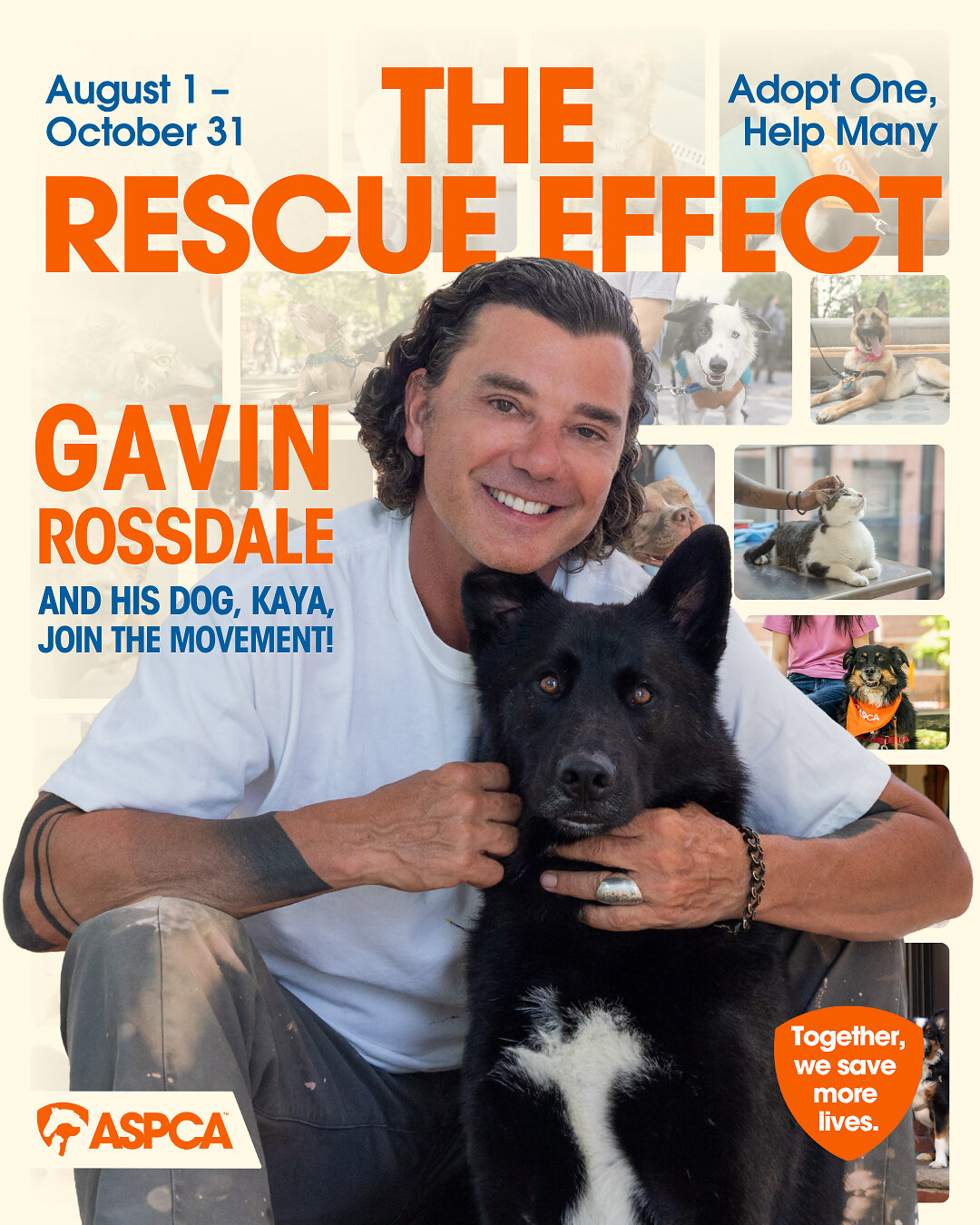 Gavin Rossdale Joins the ASPCA's Rescue Effect Campaign to Promote Pet Adoption Nationwide