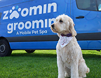 Zoomin Groomin Mobile Grooming Van