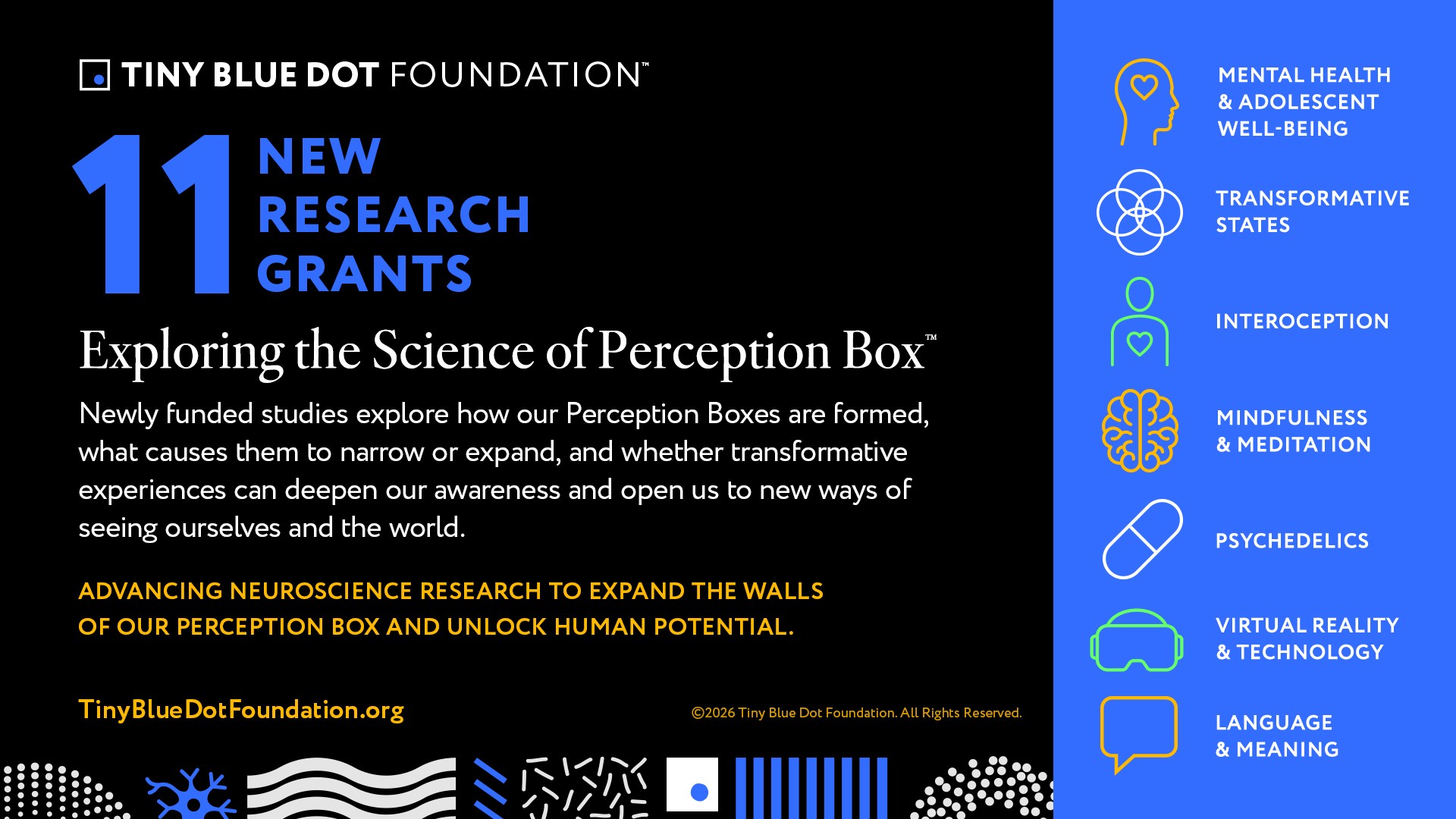 Tiny Blue Dot Foundation Awards $9M For 11 New Research Grants Exploring the Science of the Perception Box