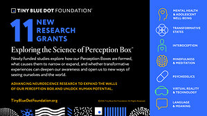 Tiny Blue Dot Foundation Awards $9M For 11 New Research Grants Exploring the Science of the Perception Box