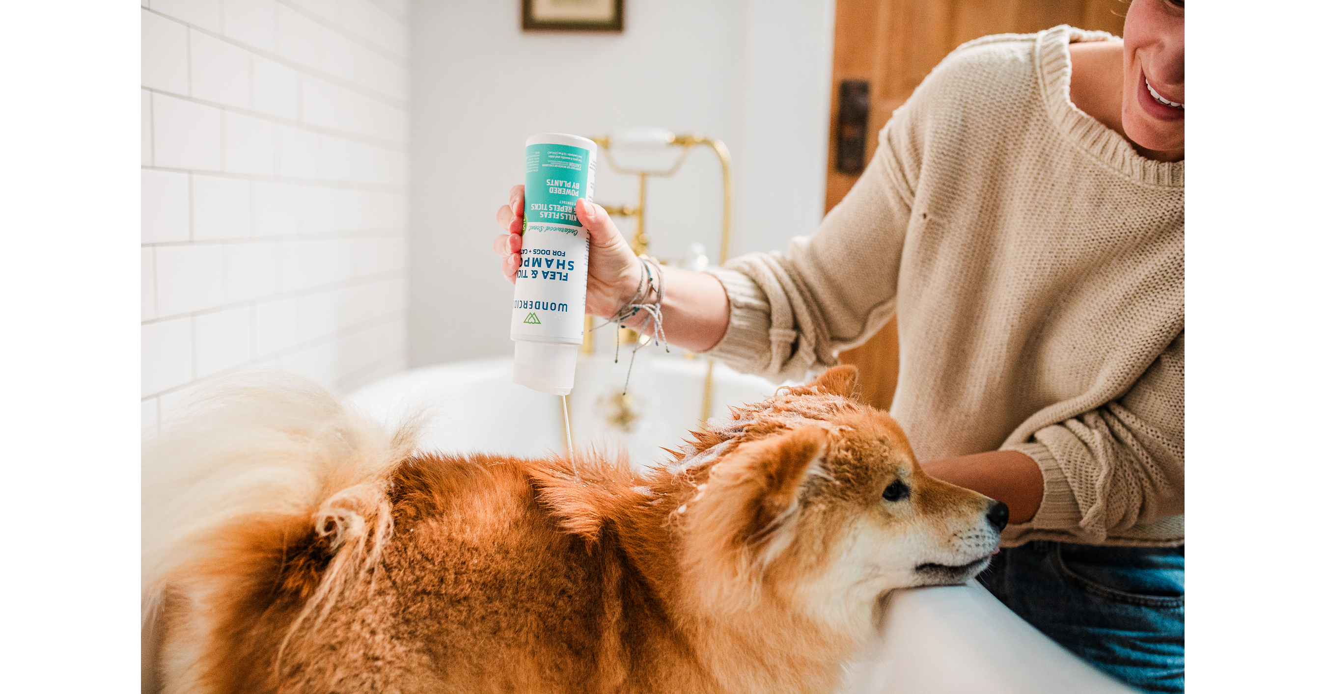 Wondercide Is Searching for America's Dirtiest Dog - And Helping Prepare Animal Haven's Shelter Dogs For Their Next Great Adventure