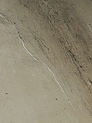 The appearance of mold represents a larger problem.