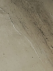 The appearance of mold represents a larger problem.