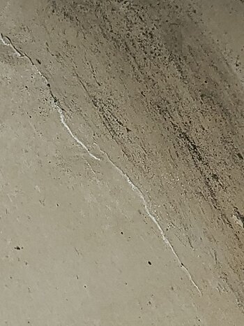 The appearance of mold represents a larger problem.