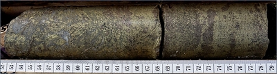 Figure 3. Chalcopyrite-rich interval from CMR26-201 at 350.5 meters(i)