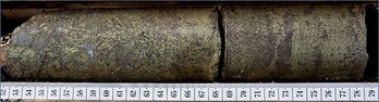 Figure 3. Chalcopyrite-rich interval from CMR26-201 at 350.5 meters(i)