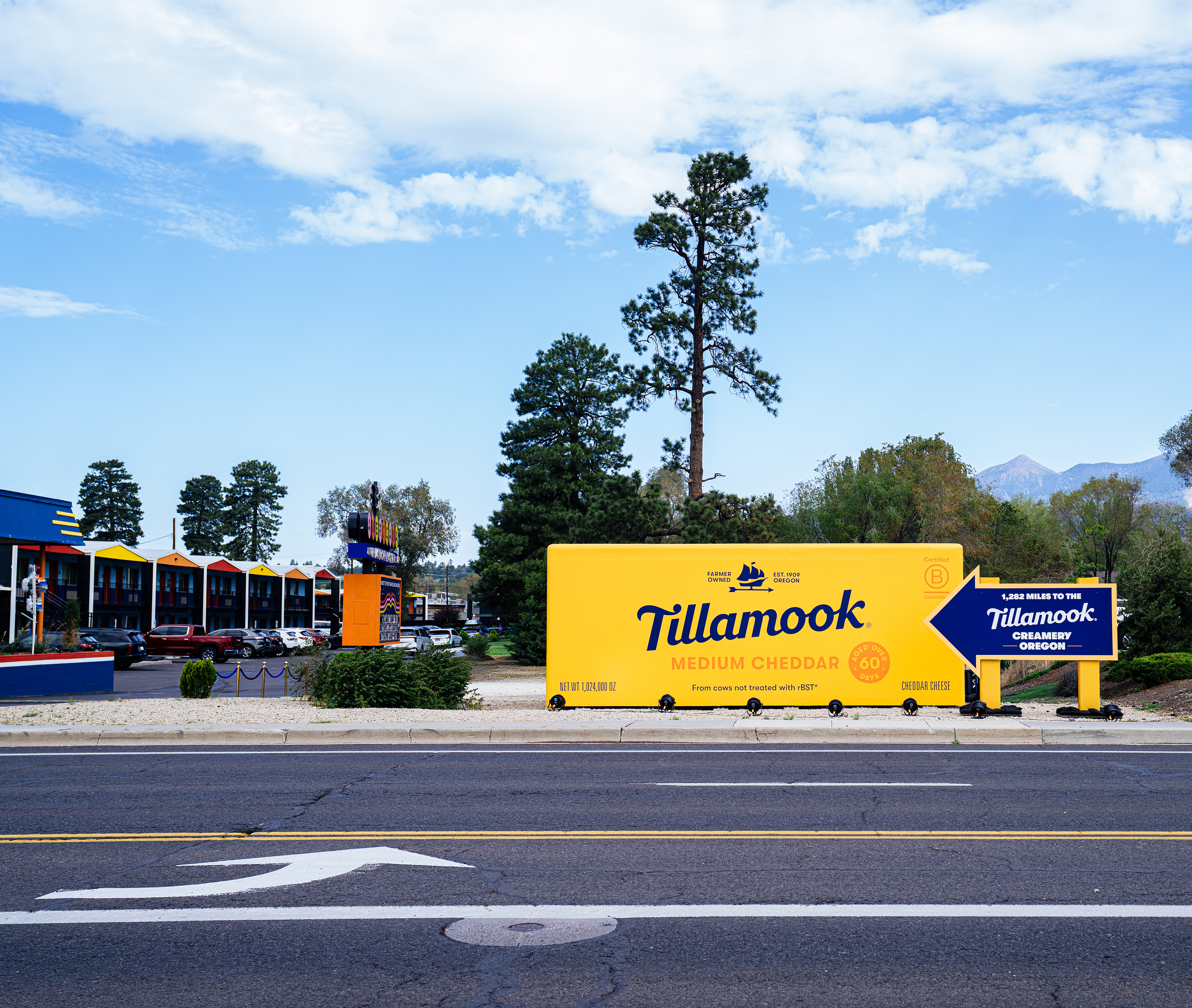 /C O R R E C T I O N -- Tillamook/