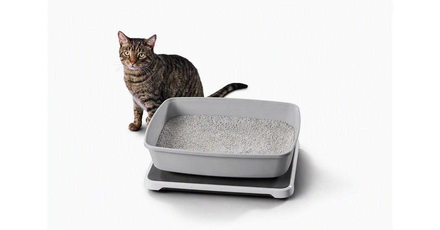 Feline Elimination Patterns Linked to Kidney Disease Demonstrated Through Smart Litter Box Monitor