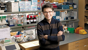 Yale School of Medicine Awarded a Nearly $25 Million Grant to Map the Developing Brain and Advance Autism Research