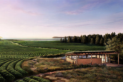 Vale Tasting Room, Rear Rendering