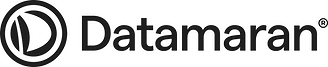 Datamaran Logo