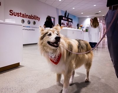 Purina Opens New Pet Food Factory in Ohio, Its First Built from the Ground Up in More Than 50 Years