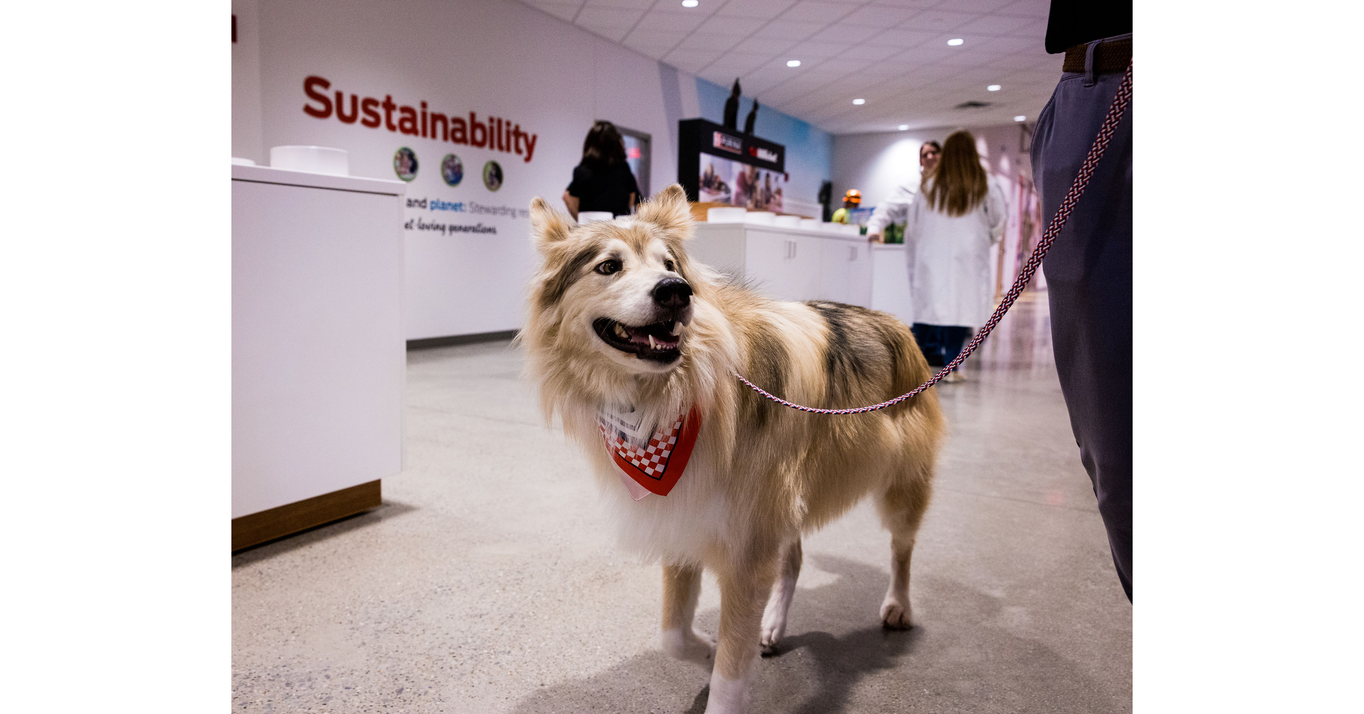 Purina Opens New Pet Food Factory in Ohio, Its First Built from the Ground Up in More Than 50 Years