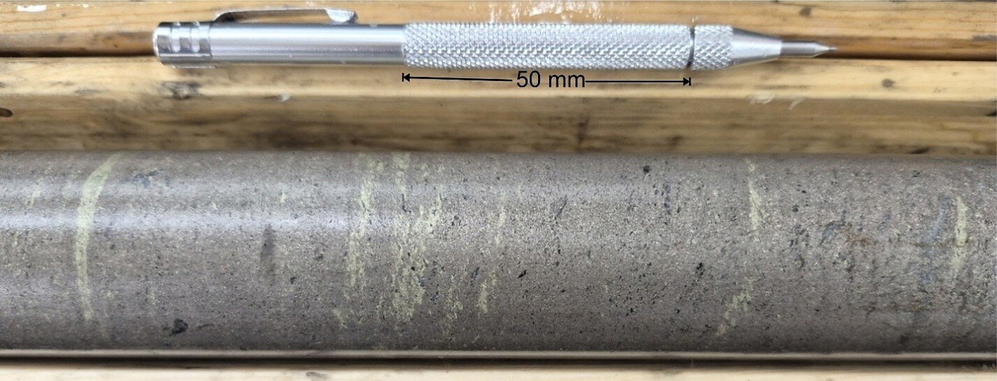 Figure 2: Close-up Photograph of the massive sulphides with chalcopyrite concentrated in1 to 3 mm bands parallel to the contacts at 80-85 degrees to core axis on average. Center of photograph is at 159.7 meters in hole CUP26-010. The small black spots in the massive sulphides are magnetite; the pyrrhotite is not magnetic. Figure 2: Close-up Photograph of the massive sulphides with chalcopyrite concentrated in1 to 3 mm bands parallel to the contacts at 80-85 degrees to core axis on average. Center of photograph is at 159.7 meters in hole CUP26-010. The small black spots in the massive sulphides are magnetite; the pyrrhotite is not magnetic.