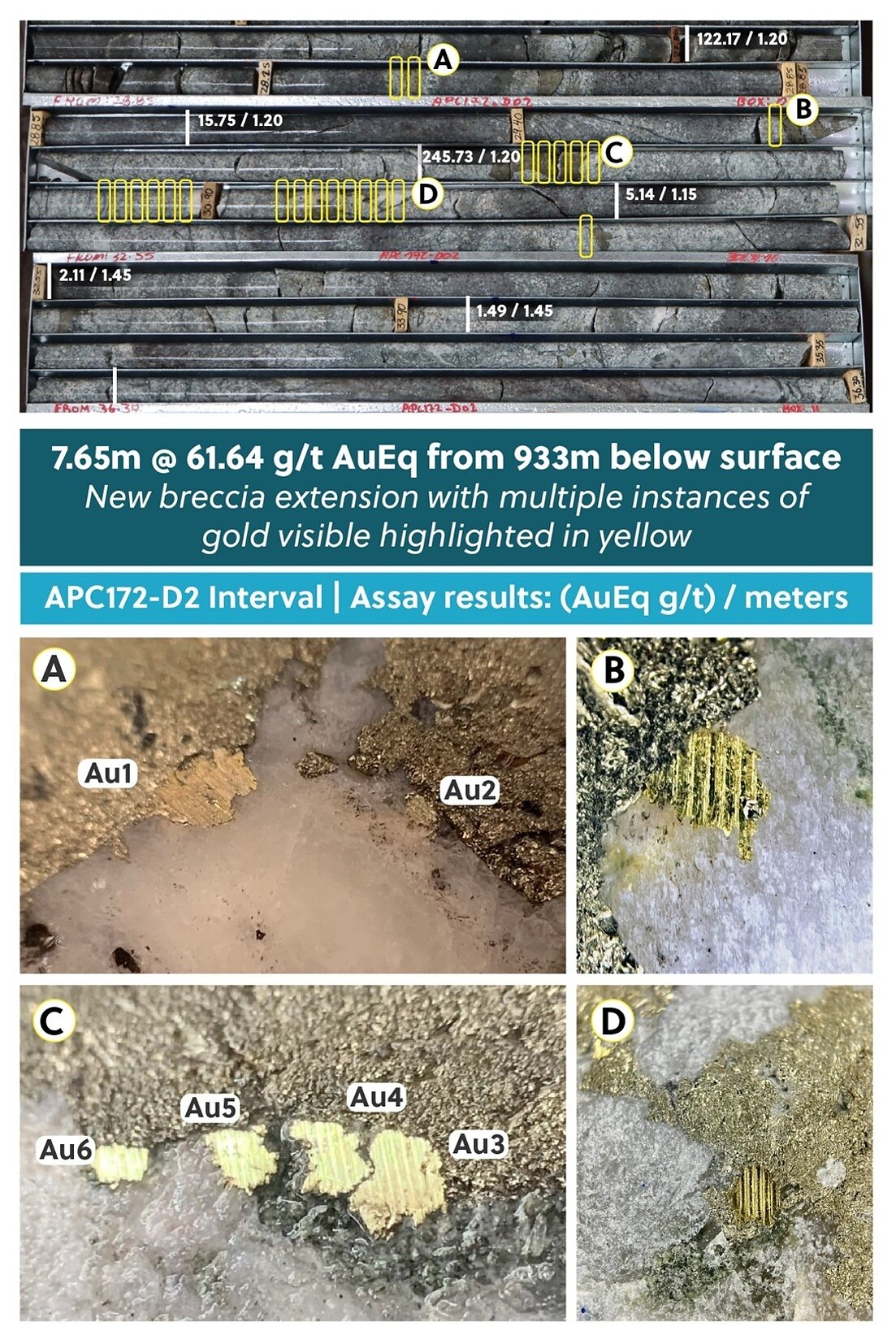 Figure 2: Drill Core Tray Photo Highlighting Visible Gold Mineralization Encountered in Hole APC172-D2 Within the New Northern Breccia Body Expansion Figure 2: Drill Core Tray Photo Highlighting Visible Gold Mineralization Encountered in Hole APC172-D2 Within the New Northern Breccia Body Expansion