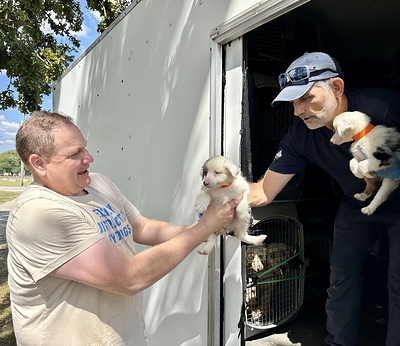 Animal Rescue Corps transported 86 dogs and two kittens to its Rescue Center in Tennessee as part of Operation Eclipse. Animal Rescue Corps transported 86 dogs and two kittens to its Rescue Center in Tennessee as part of Operation Eclipse.