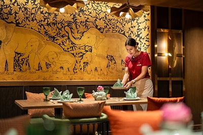 Discover the Spirit of the Elephant at Chang Thai