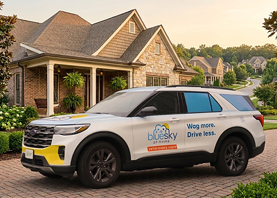 BlueSky At-Home Veterinary Care Launches In-Home Services For Pets In Nashville