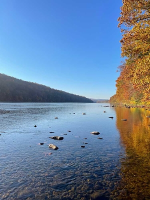 Save 40% at Dingmans Campground