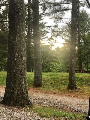 Save 40% at Rose Creek Campground & Cabins