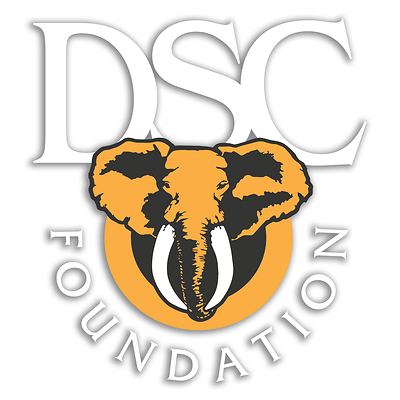 DSC Foundation