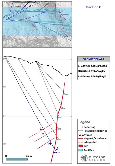 Figure 6. Geological cross-section C showing the Las Maras vein system. The cross-section’s width is 100 meters. 
Lengths are downhole and do not represent estimated true widths.