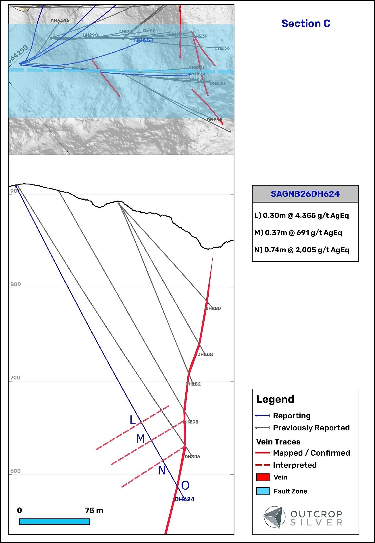 Figure 6. Geological cross-section C showing the Las Maras vein system. The cross-section’s width is 100 meters. 
Lengths are downhole and do not represent estimated true widths.