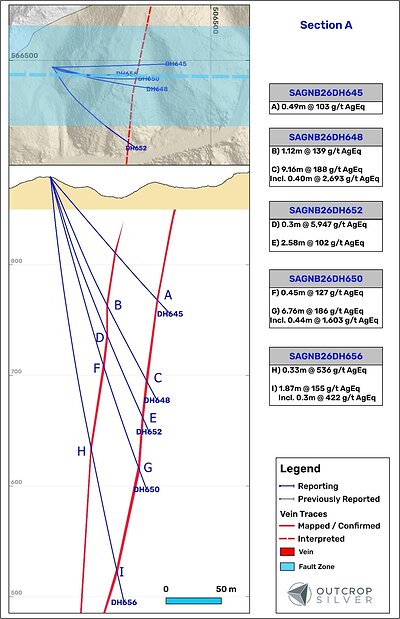 Figure 2. Geological cross-section A showing Santa Ana vein. The cross-section’s width is 100 meters. 
Lengths are downhole and do not represent estimated true widths.