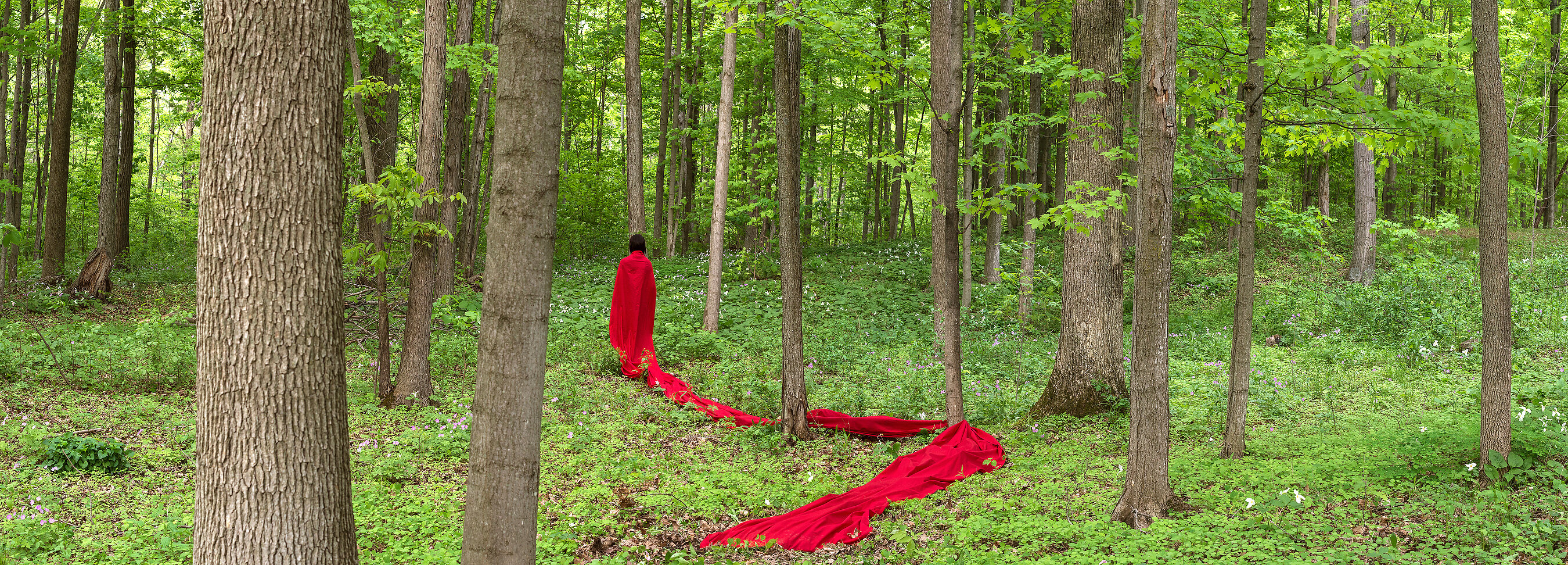 SKENNEN'KÓ:WA KEN? (DO YOU CARRY GREAT PEACE?) OPENS TOMORROW AT 2026 GWANGJU BIENNALE