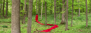 SKENNEN'KÓ:WA KEN? (DO YOU CARRY GREAT PEACE?) OPENS TOMORROW AT 2026 GWANGJU BIENNALE