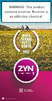 ZYN "When It Clicks"