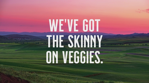 Introducing Hanover Foods' new Skinny Veg® line of GLP-1-friendly frozen sides. Skinny Veg® delivers flavor with a refreshingly short ingredient list, proving that sometimes the smartest thing you can add to a meal is nothing at all. And that’s the skinny.