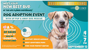 Meet Your Best Bud at the Life Flower Dispensary Dog Adoption Event