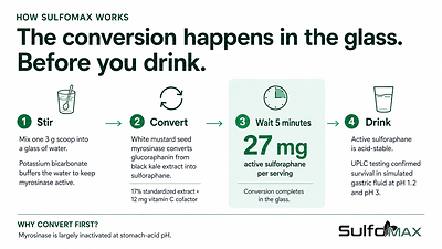 The four steps behind SulfoMax: stir, convert, wait five minutes, drink. The conversion happens in the glass because myrosinase is largely inactivated at stomach-acid pH.