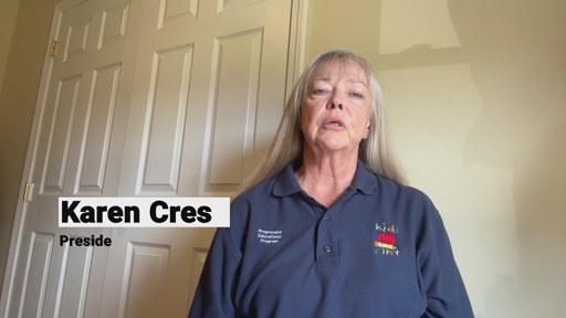 Certified Dyslexia Specialist Karen Cress Explains Reading Support for a Struggling Reader in HelloNation