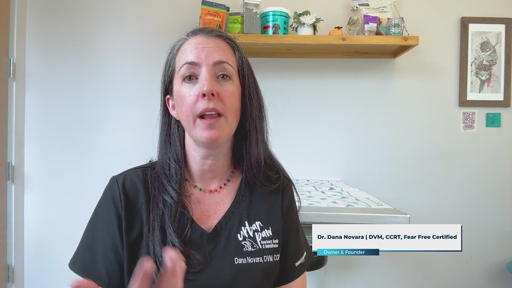 Pet Rehabilitation Therapy Explained by Holistic Veterinary Expert Dr. Dana Novara of Denver for HelloNation