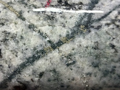 Figure 4. TCDH-006, 369 meters. Crosscutting high-temperature quartz veinlets carrying chalcopyrite, hosted in potassic-altered intramineral porphyry. Selected interval. Chalcopyrite identified visually by hand lens. Photograph: Quimbaya Gold Inc.