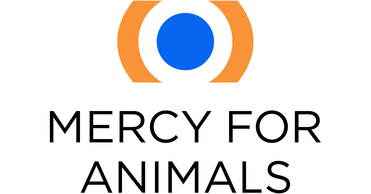 Inside the Egg Industry: Mercy For Animals Investigation Documents the Killing of Newly Hatched Male Chicks