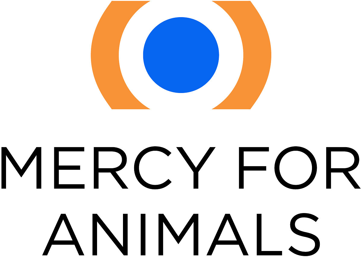 Inside the Egg Industry: Mercy For Animals Investigation Documents the Killing of Newly Hatched Male Chicks