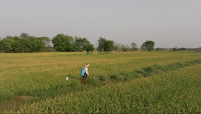 Mitti Labs field operations in Telangana, India