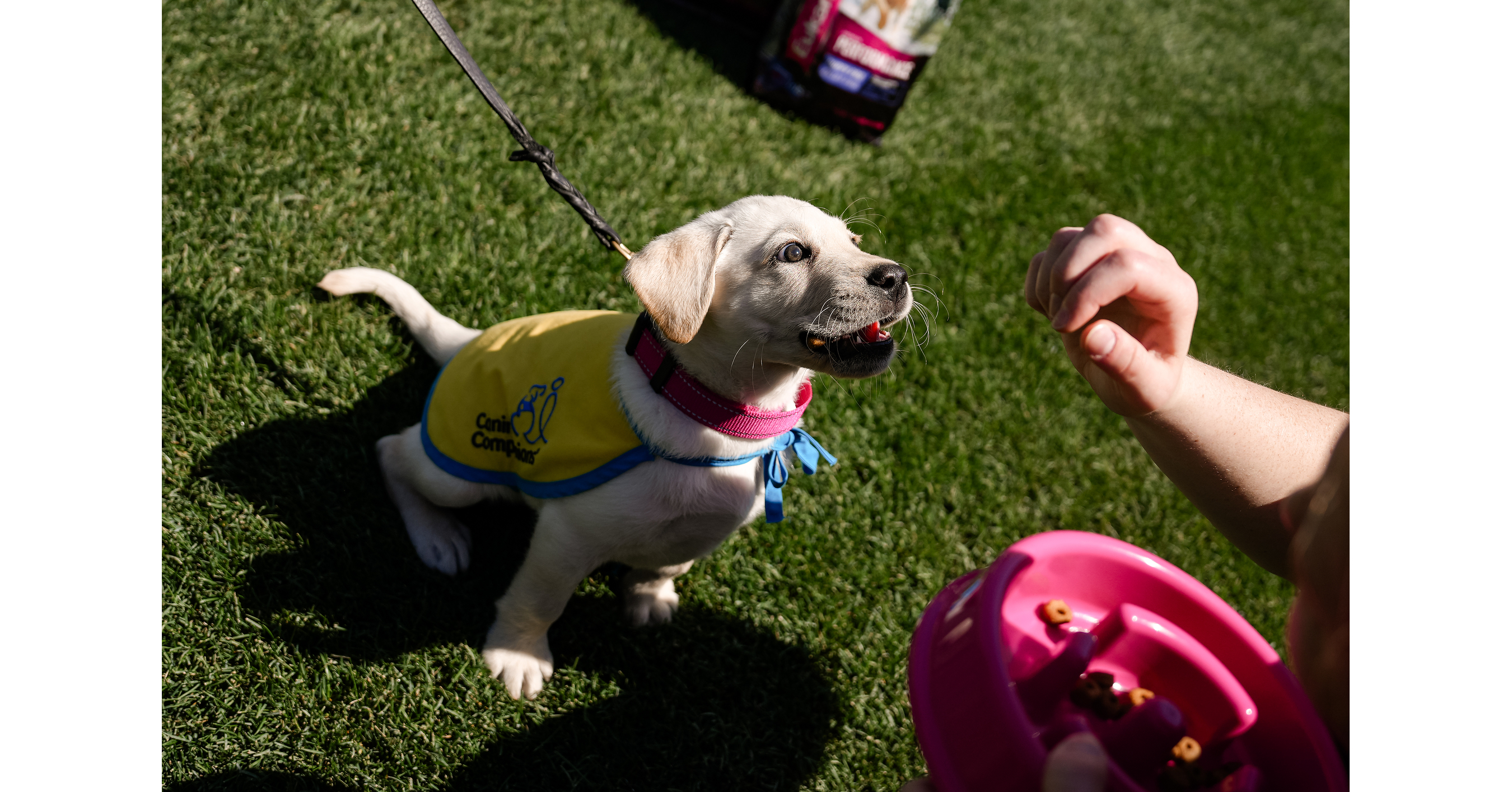Eukanuba Celebrates 3rd Annual Giving Campaign Supporting National Service Dog Month