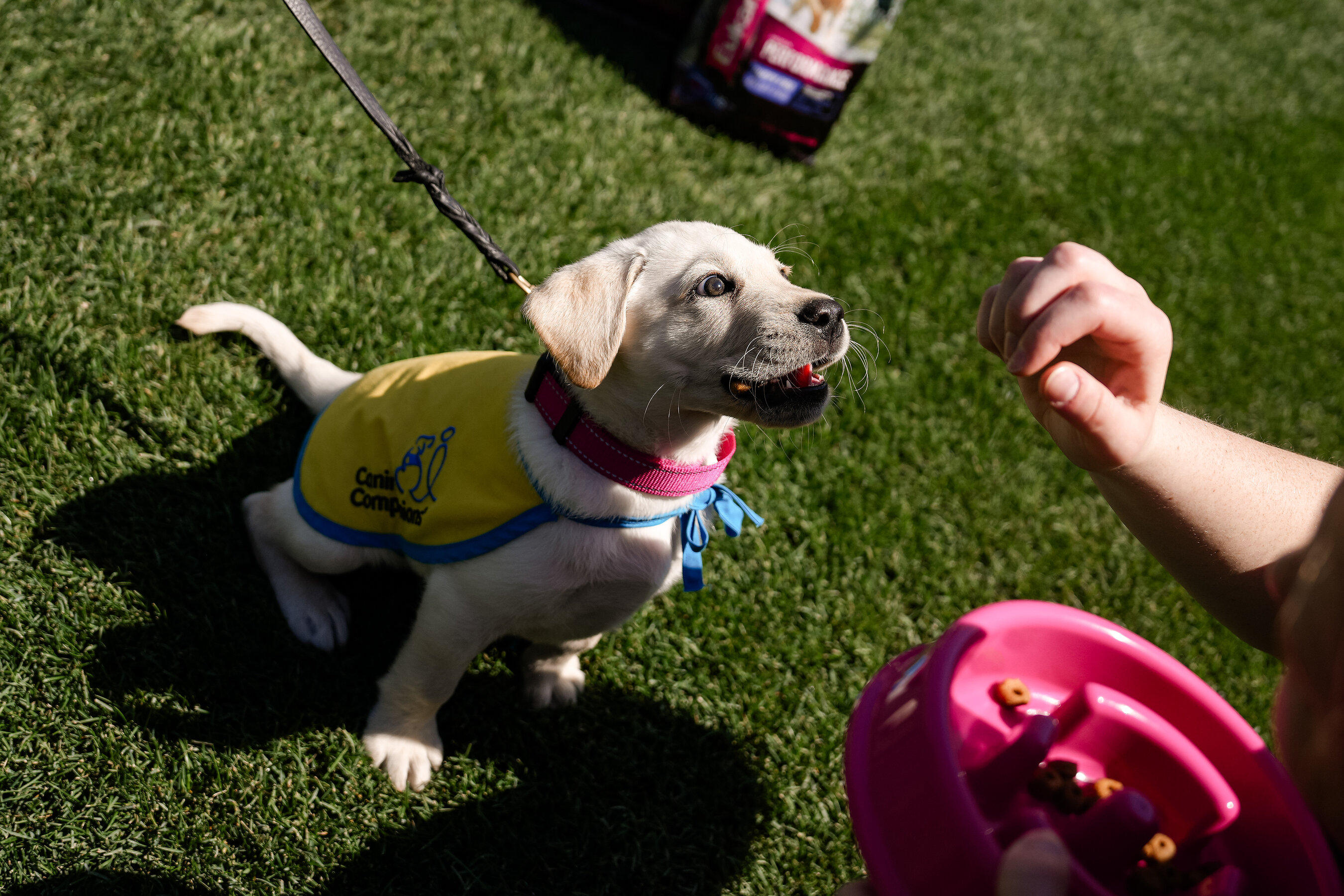 Eukanuba Celebrates 3rd Annual Giving Campaign Supporting National Service Dog Month