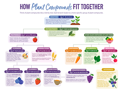 Wild Blueberry Association of North America Launches Phytonutrients Toolkit for Nutrition Reporters and Educators