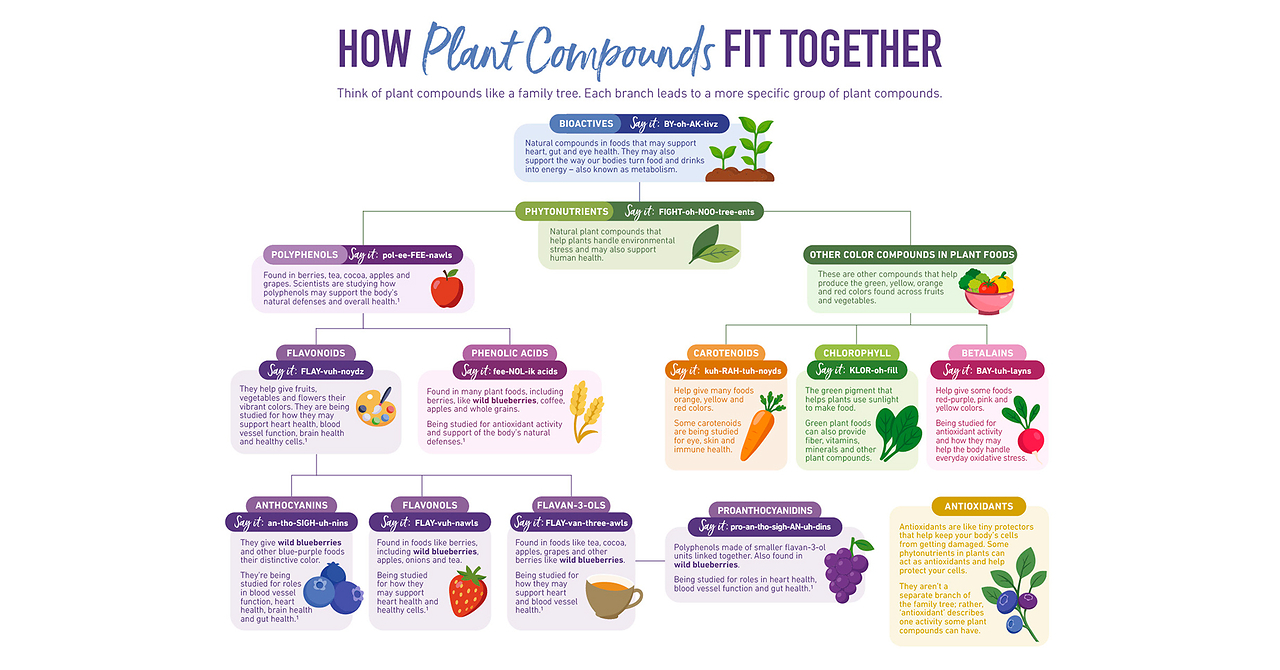 Wild Blueberry Association of North America Launches Phytonutrients Toolkit for Nutrition Reporters and Educators